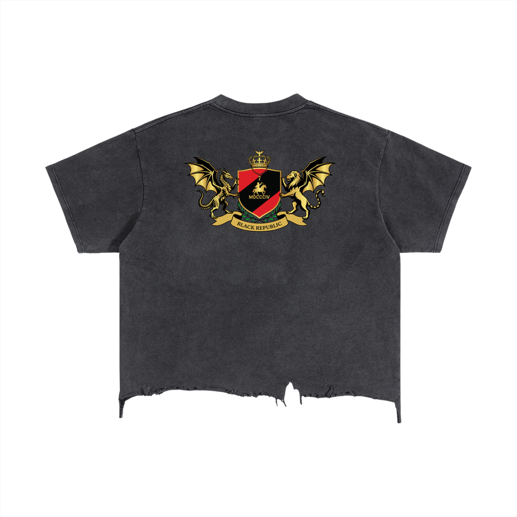 1804 Vintage Wash Boxy Distressed Hem Tee