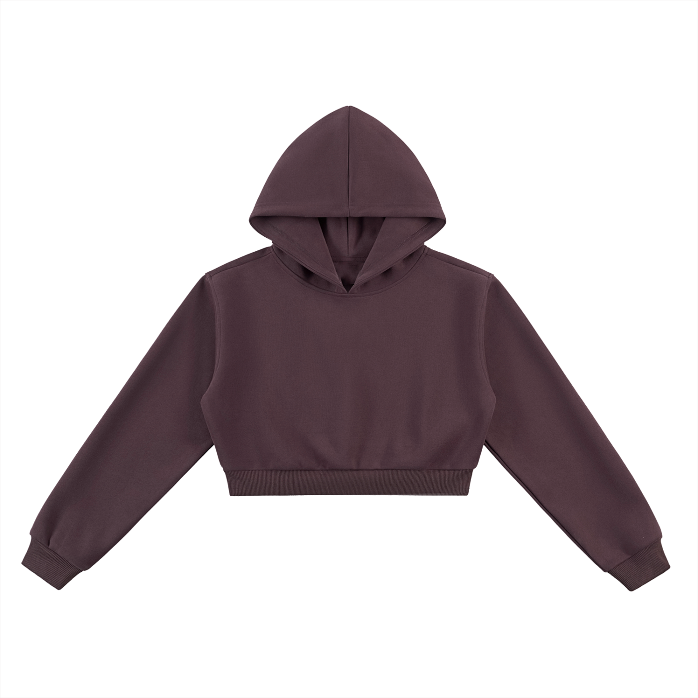 1804 Cropped Hoodie