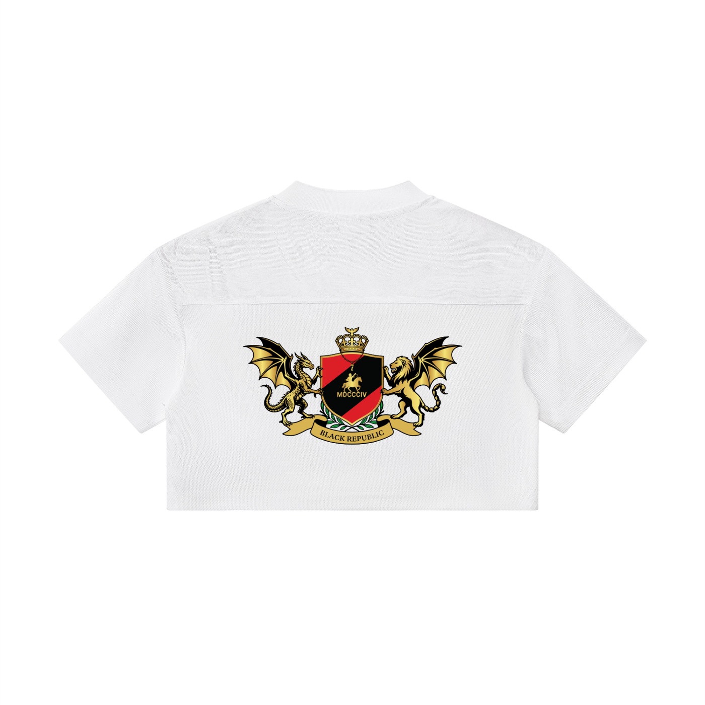 Women’s Cropped Paneled V-Neck Jersey