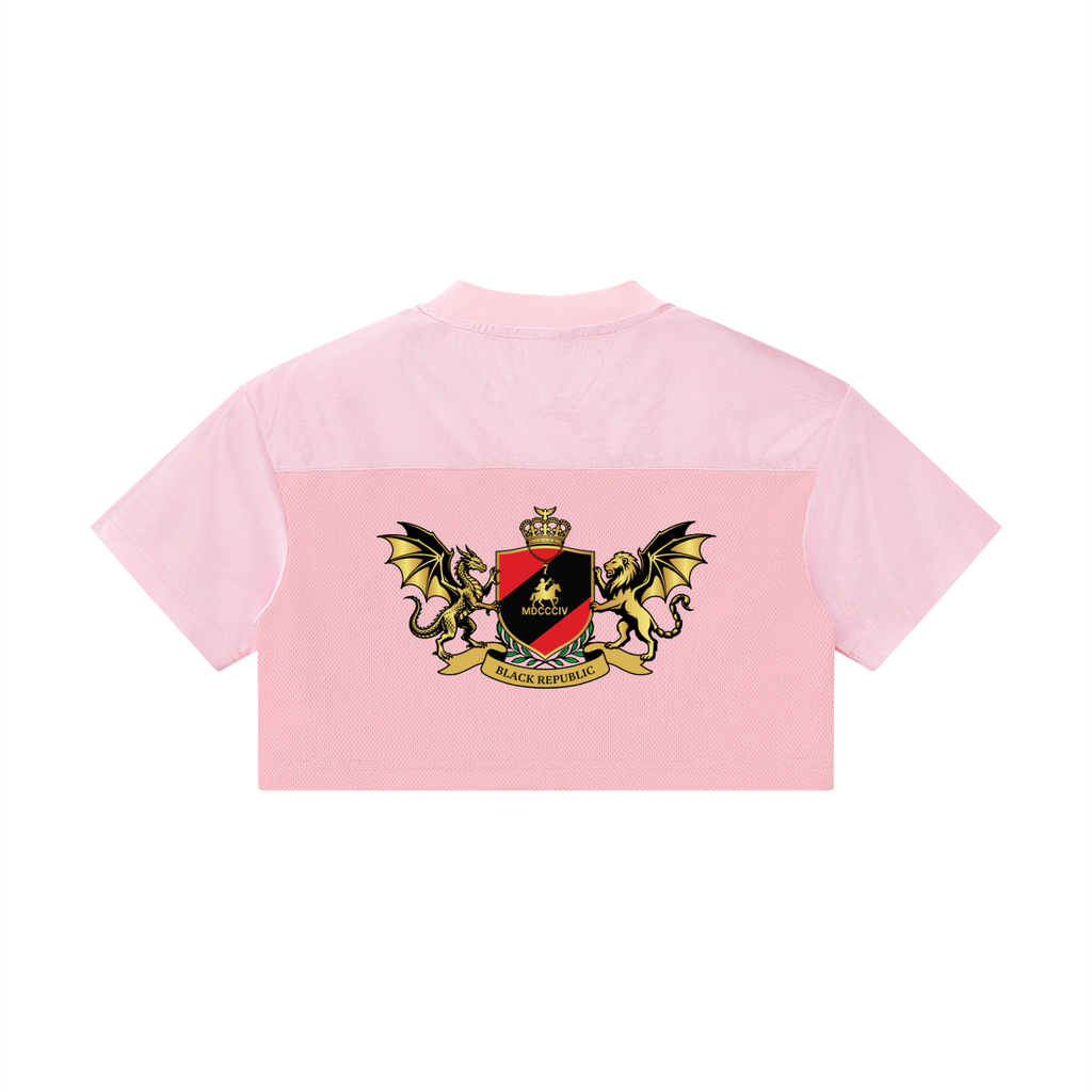 Women’s Cropped Paneled V-Neck Jersey