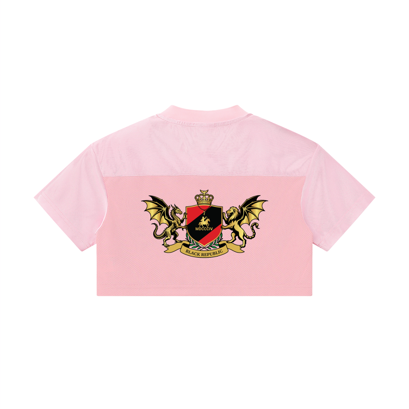 Women’s Cropped Paneled V-Neck Jersey
