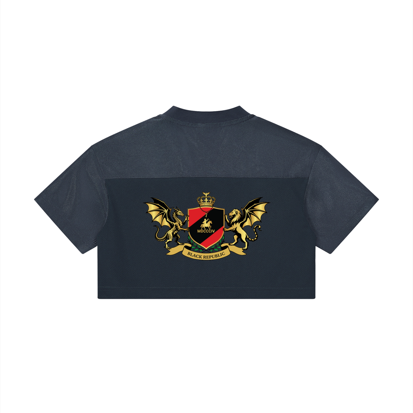 Women’s Cropped Paneled V-Neck Jersey