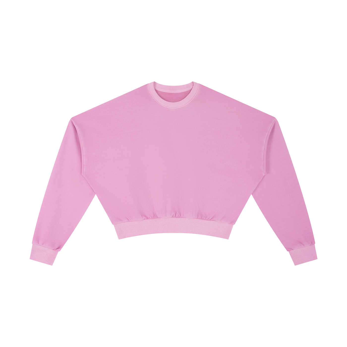 1804 Vintage Washed Cropped Sweatshirt