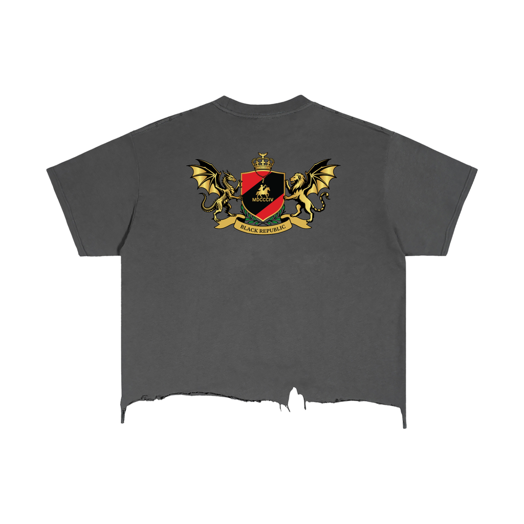 1804 Vintage Wash Boxy Distressed Hem Tee