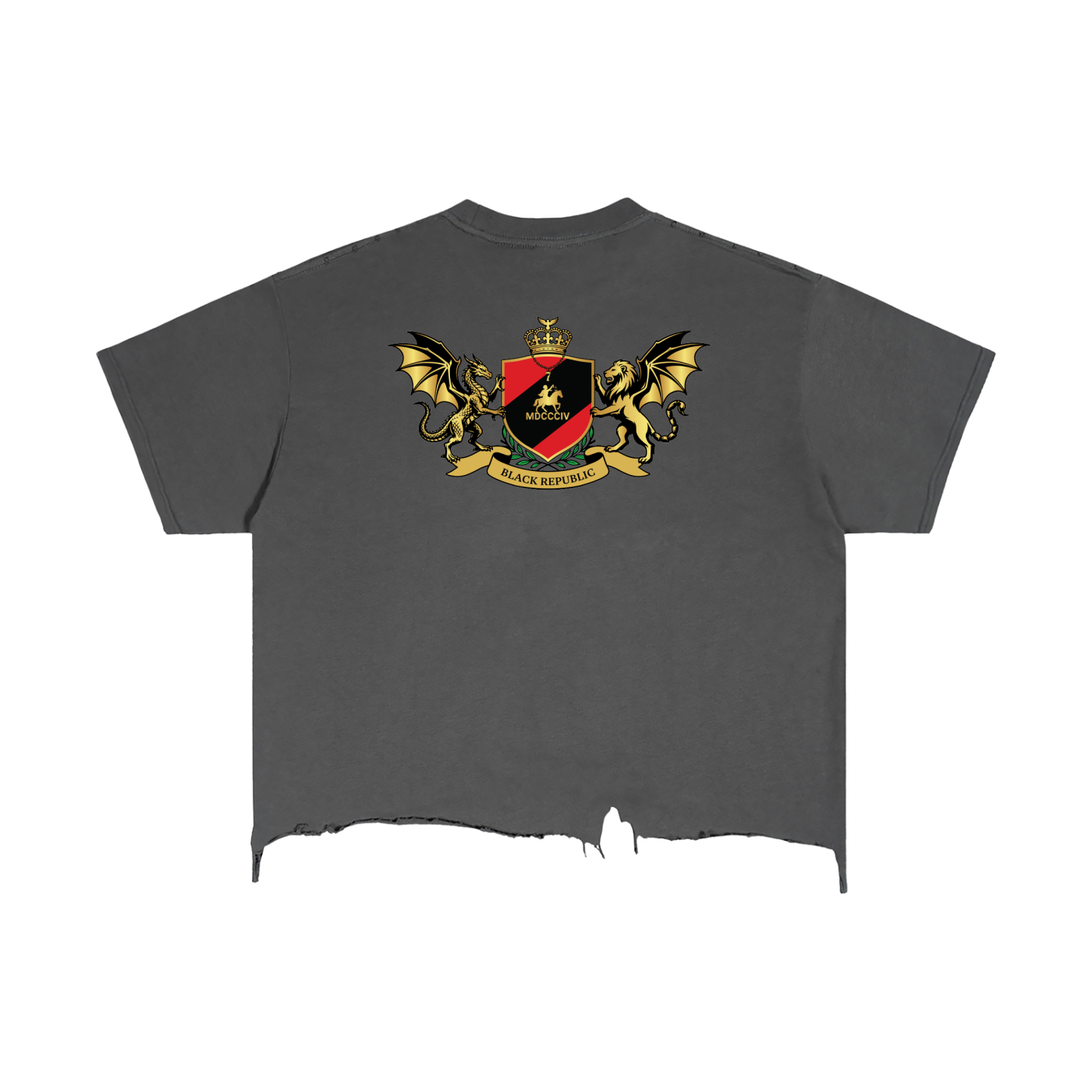 1804 Vintage Wash Boxy Distressed Hem Tee