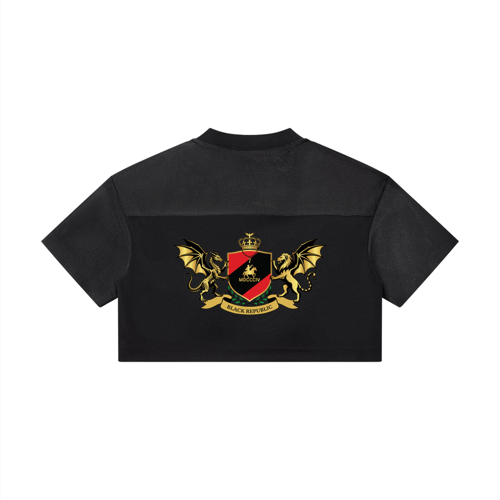 Women’s Cropped Paneled V-Neck Jersey