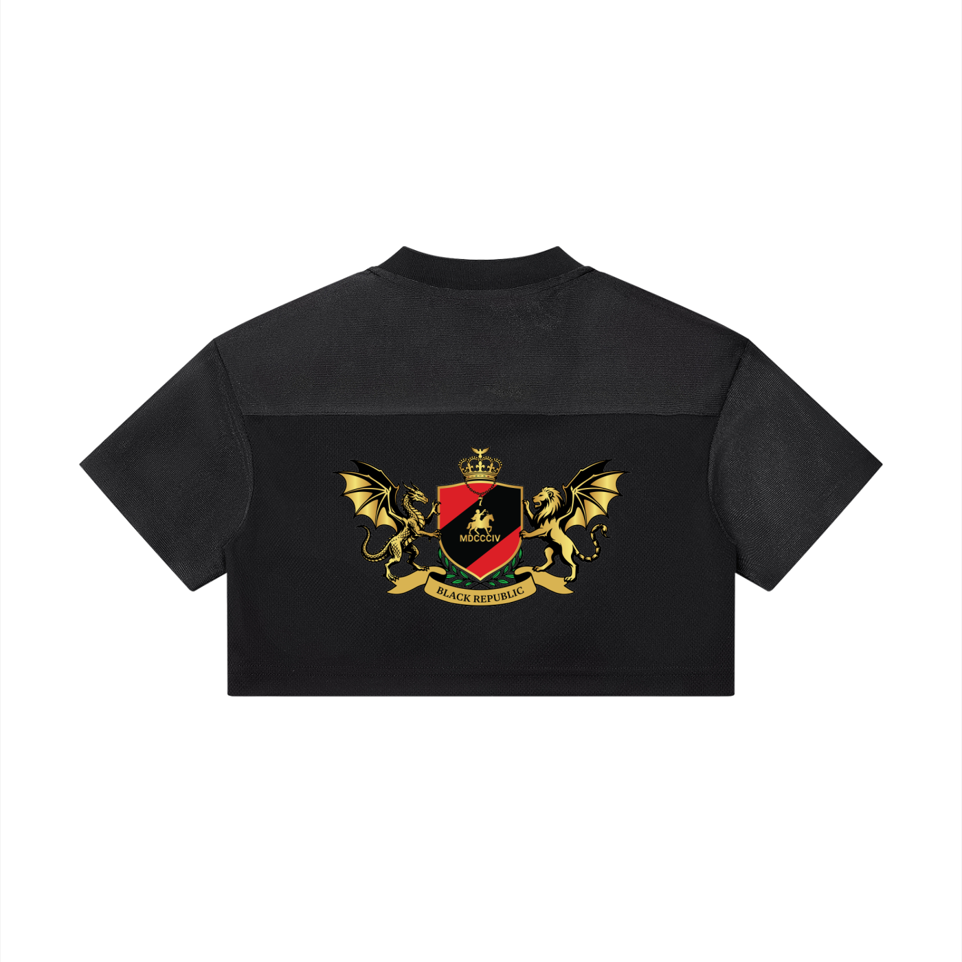 Women’s Cropped Paneled V-Neck Jersey